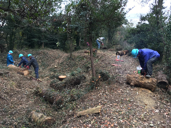 山城サミット In 佐野 の開催に向けて 国指定史跡 唐沢山城跡 を整備しました 中里建設株式会社 栃木県佐野市