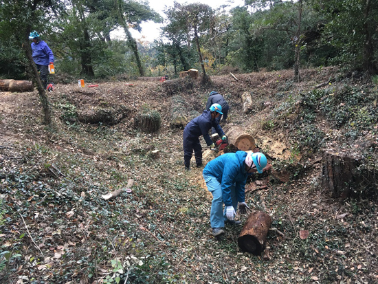 唐沢山城跡整備