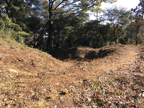 唐沢山城跡整備