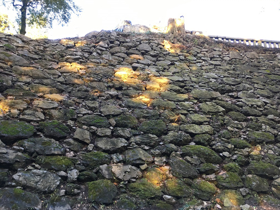 唐沢山城跡整備