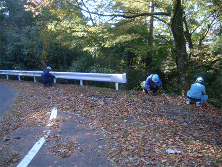 第７回唐沢山城跡むかで（ゴミ）退治