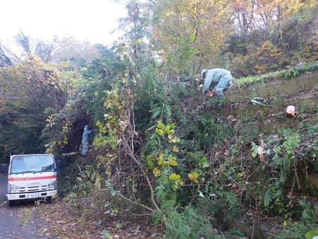 第８回唐沢山城跡むかで（ゴミ）退治