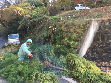 第８回唐沢山城跡むかで（ゴミ）退治