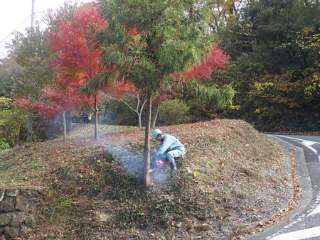 第８回唐沢山城跡むかで（ゴミ）退治