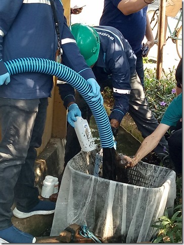 途中から黒色の汚水が排出